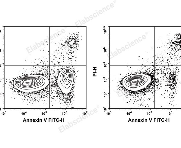 Annexin V-FITC/PI Apoptosis Kit