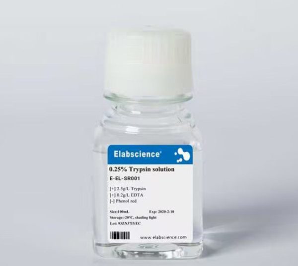 0.25% Trypsin Solution